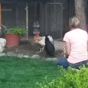 Meet your Posher, Christi